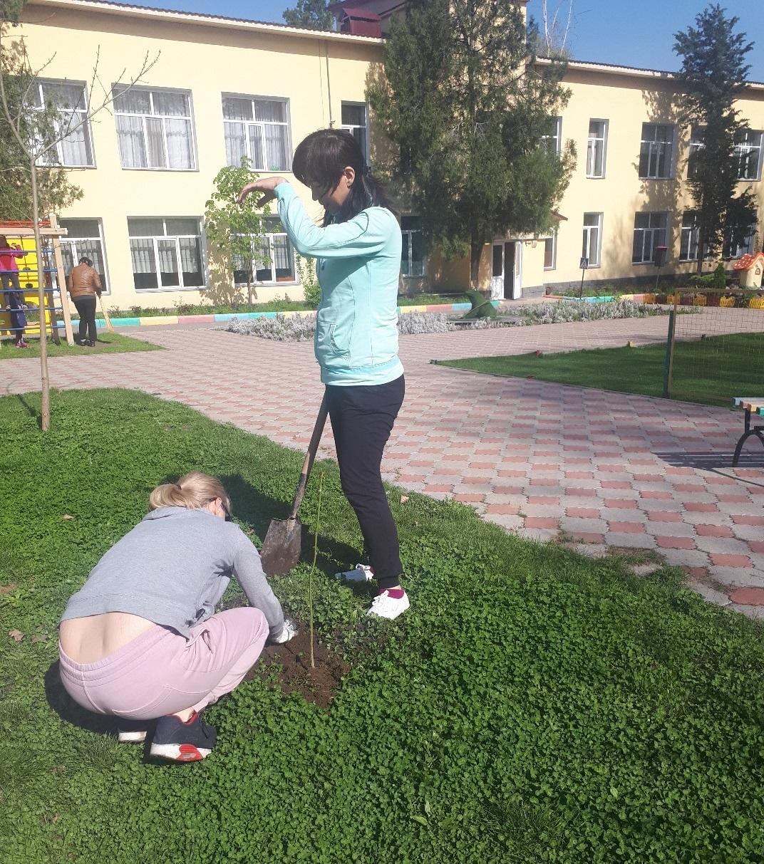 В целях наведения чистоты и порядка
