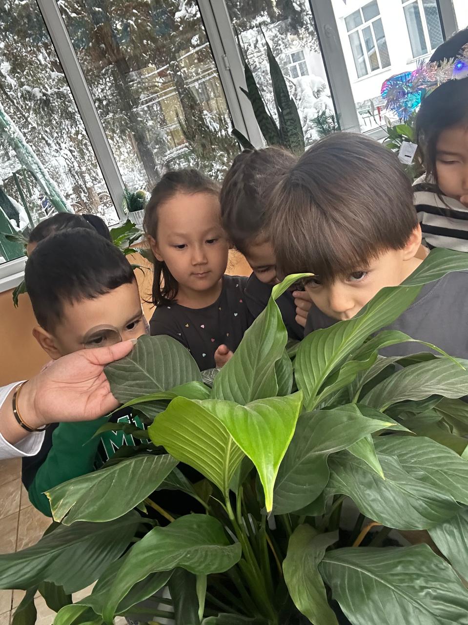 «Жапырақ тамырдан нәр алады» ойыйны